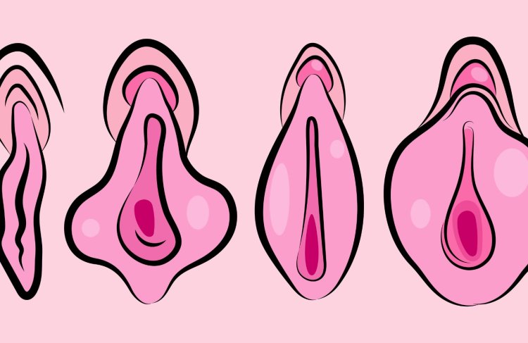 la forma della vagina è uguale per tutte le donne ?